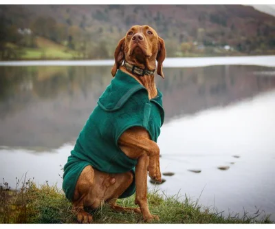 Maravilloso albornoz para perros al aire libre, bata de secado de microfibra con logotipo personalizado para abrigo de toalla para perros con efecto de superabsorción